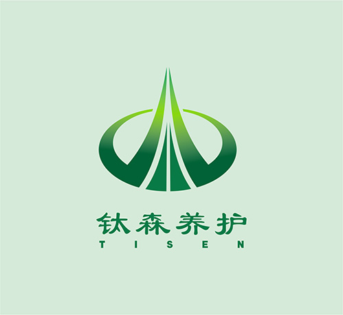 钛森养护LOGO设计 | 成都标志设计